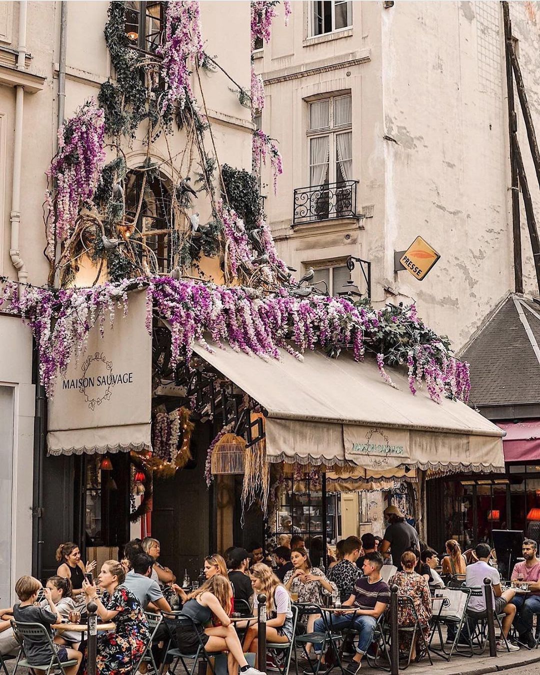 The Most Instagrammable Cafes in Paris